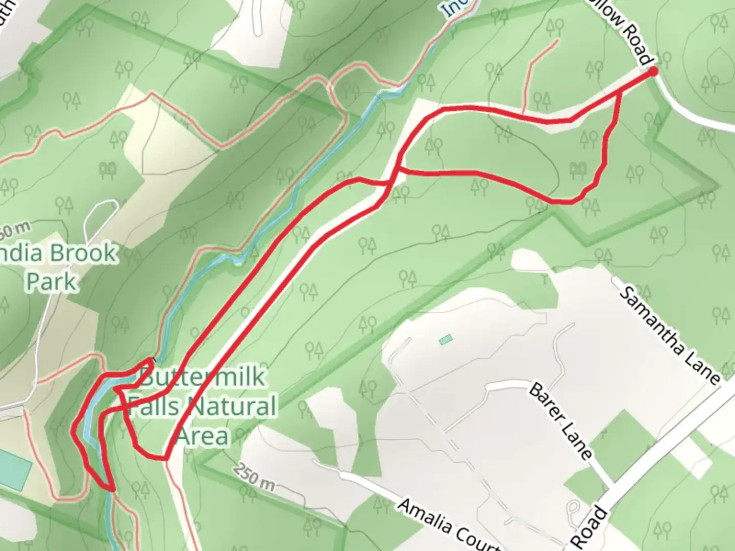 An image depicting the trail Yellow and Blue Loop Trail and its surrounding area.