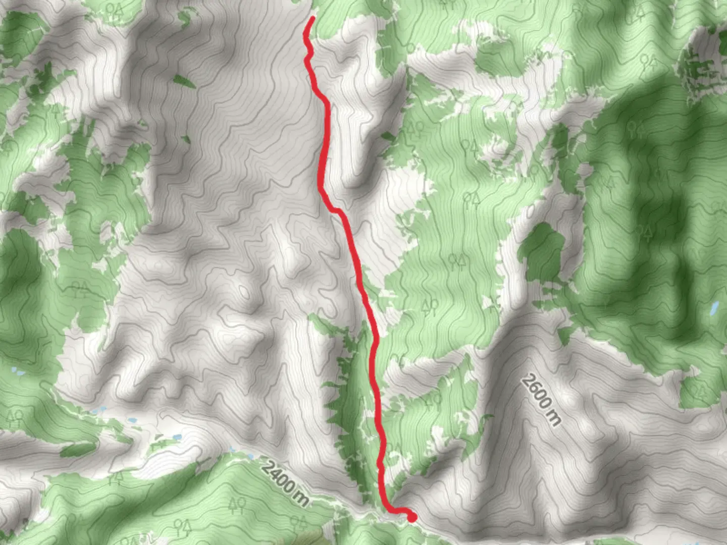 An image depicting the trail Braderich-S Thompson and ADT Colorado and its surrounding area.