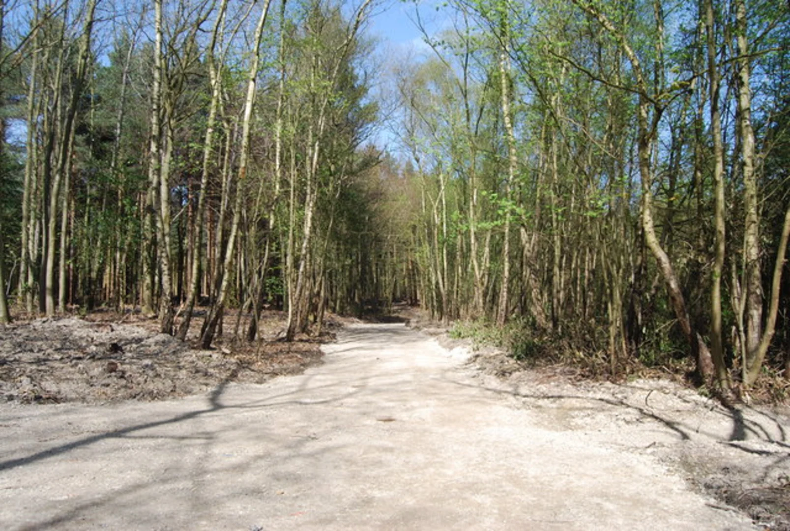 An image depicting the trail Westerham and Limpsfield Chart Loop and its surrounding area.