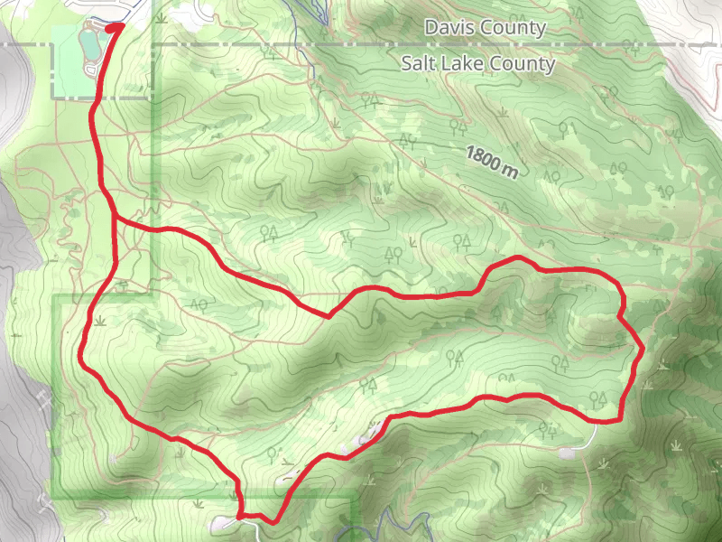 Terraces Trail, North City Creek Ridge Fire Road and Tower Connector Loop