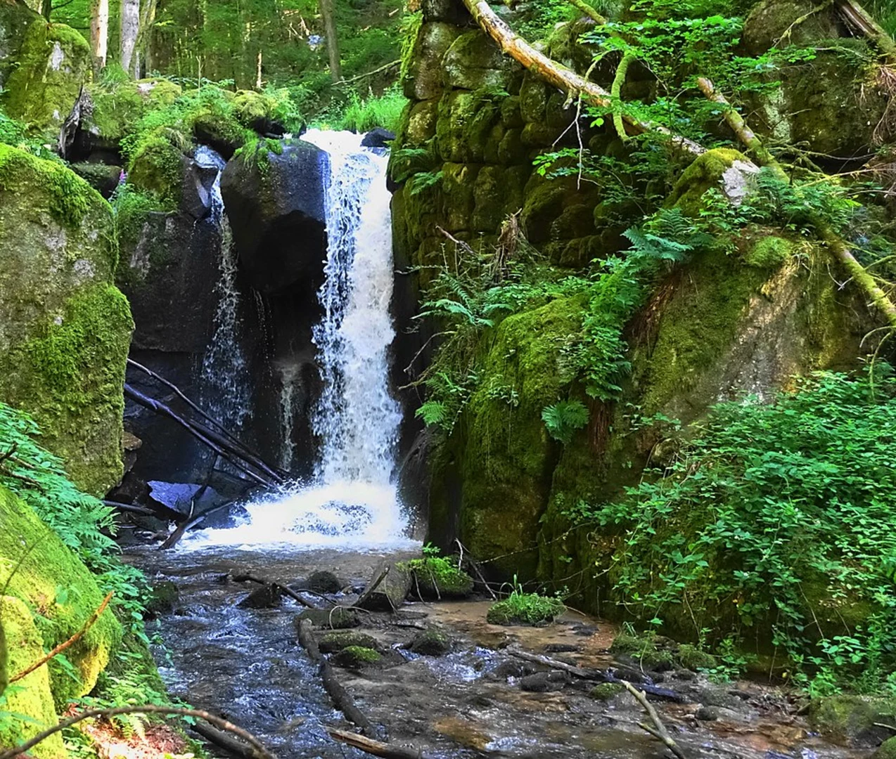 An image depicting the trail Großer Höllbachwasserfall to Arnoldsloch Walk and its surrounding area.