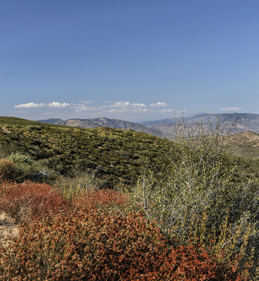 An image depicting the trail Gatos Spur Trail and its surrounding area.