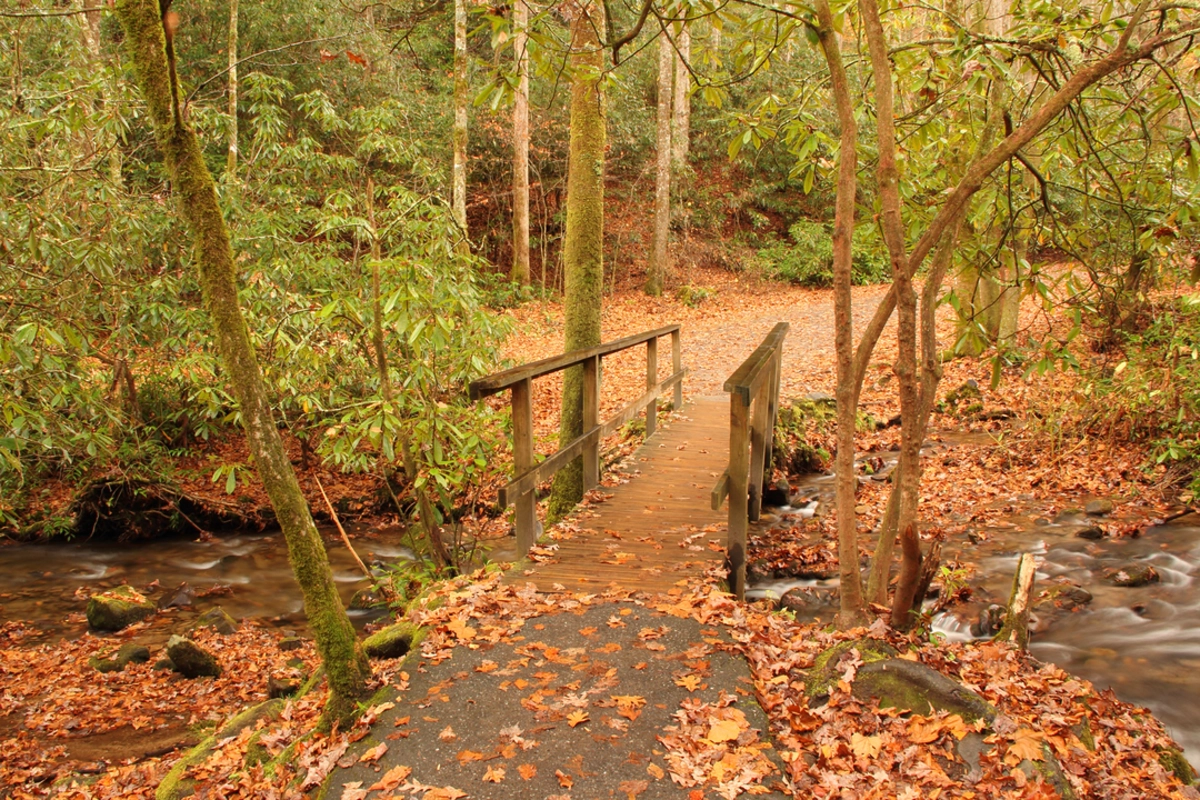 Thomas Divide, Newton Bald and Mingus Creek Trail