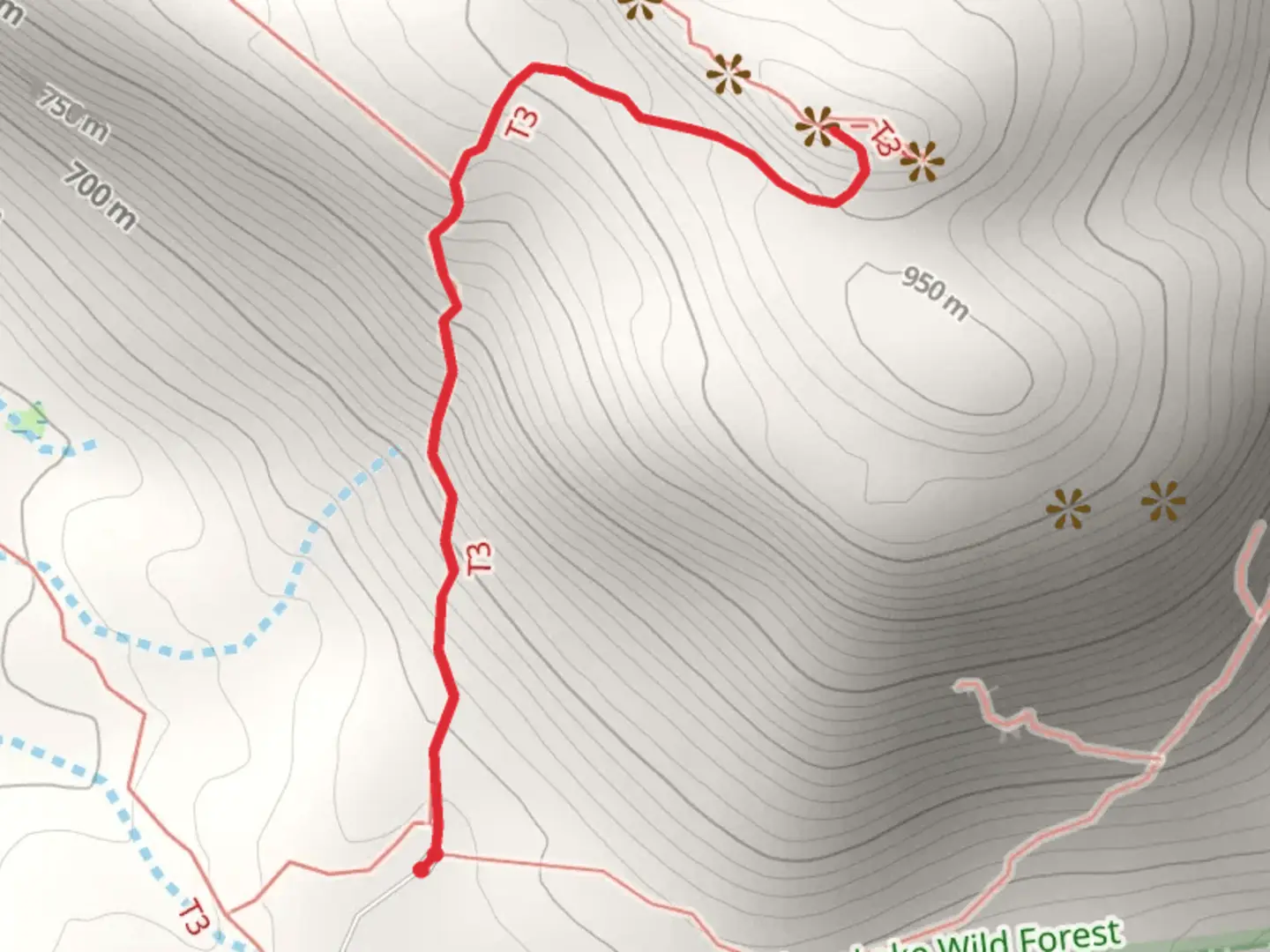 An image depicting the trail Crane Mountain from Ski Hi Road Out and Back and its surrounding area.