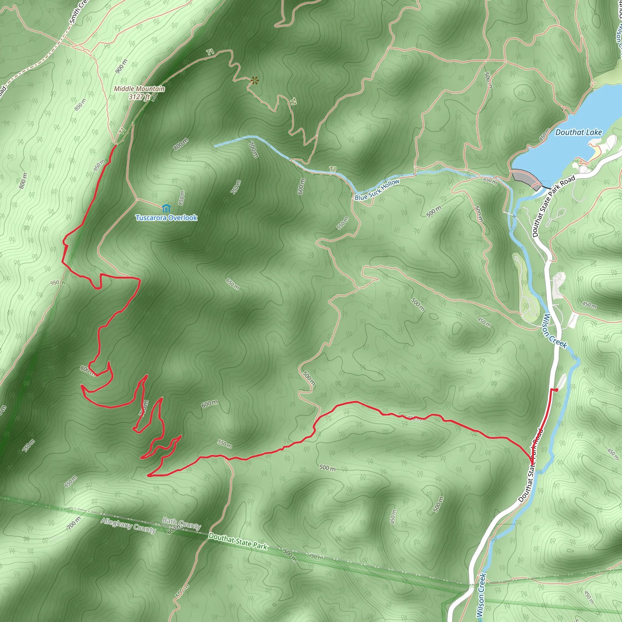 Middle Mountain via Stony Run Trail mobile static map