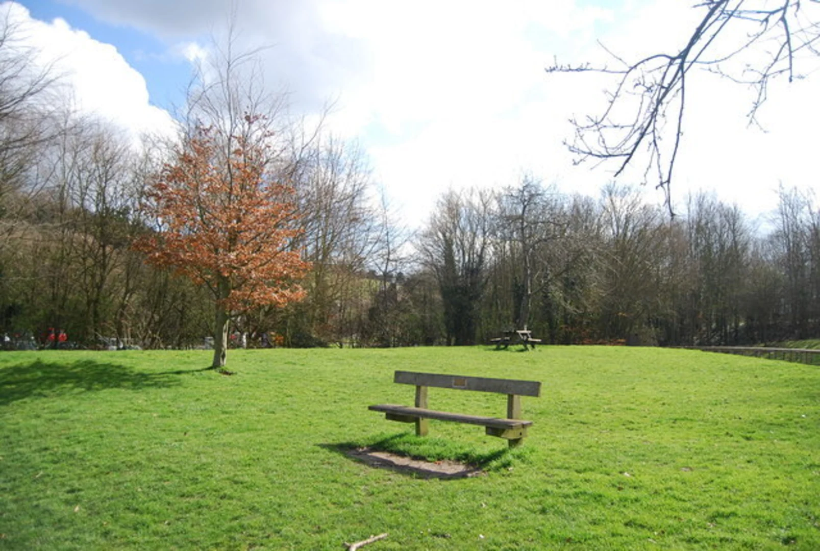 An image depicting the trail Capstone Farm Country Park and its surrounding area.