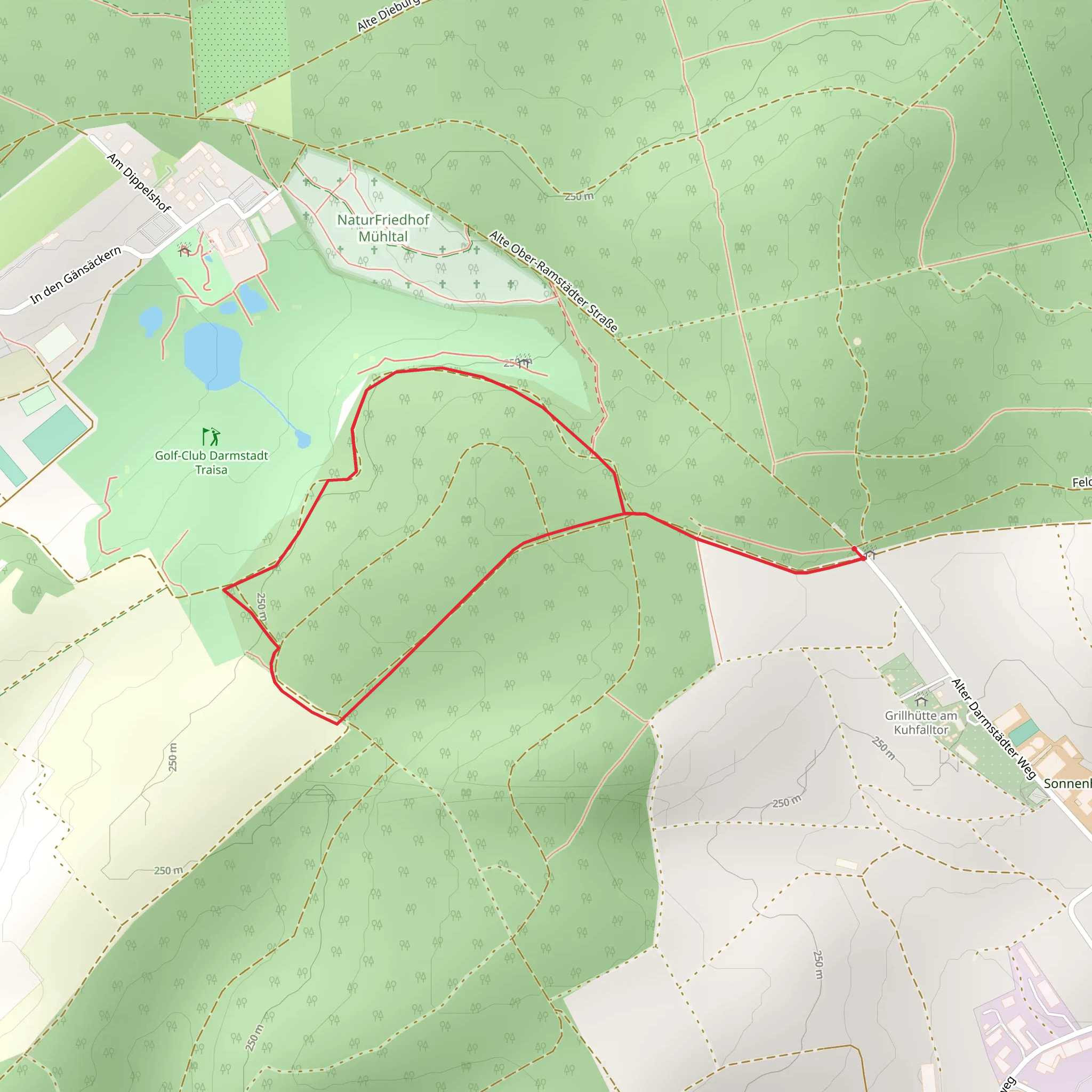 Dippelshofweg Loop mobile static map
