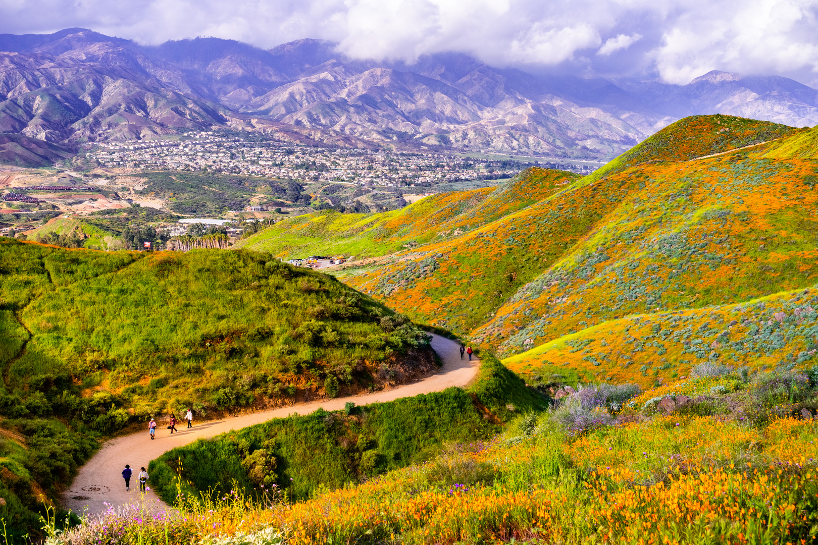 An image depicting the trail Walker Canyon and its surrounding area.