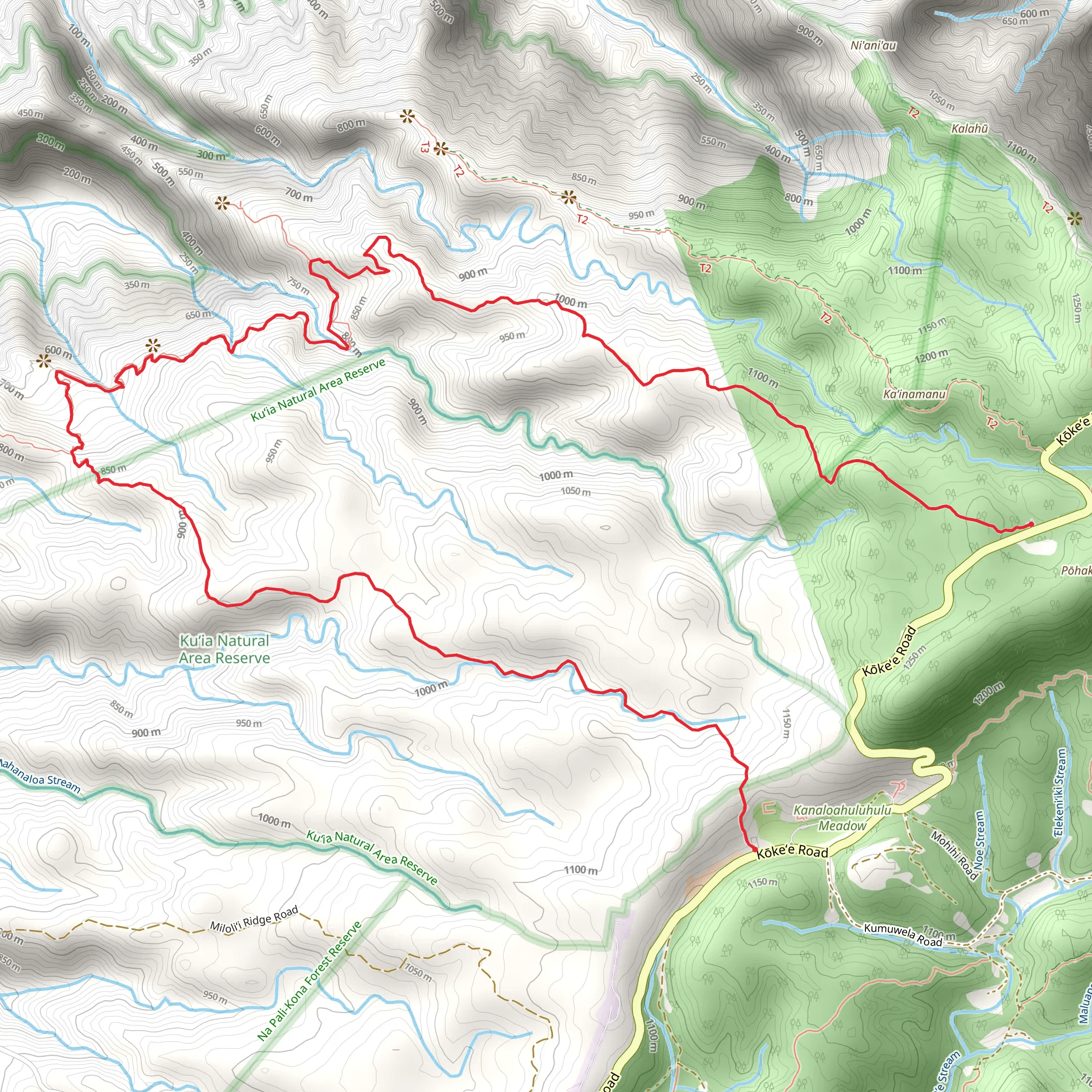 Nualolo Cliff Trail via Awa'awapuhi Trail mobile static map