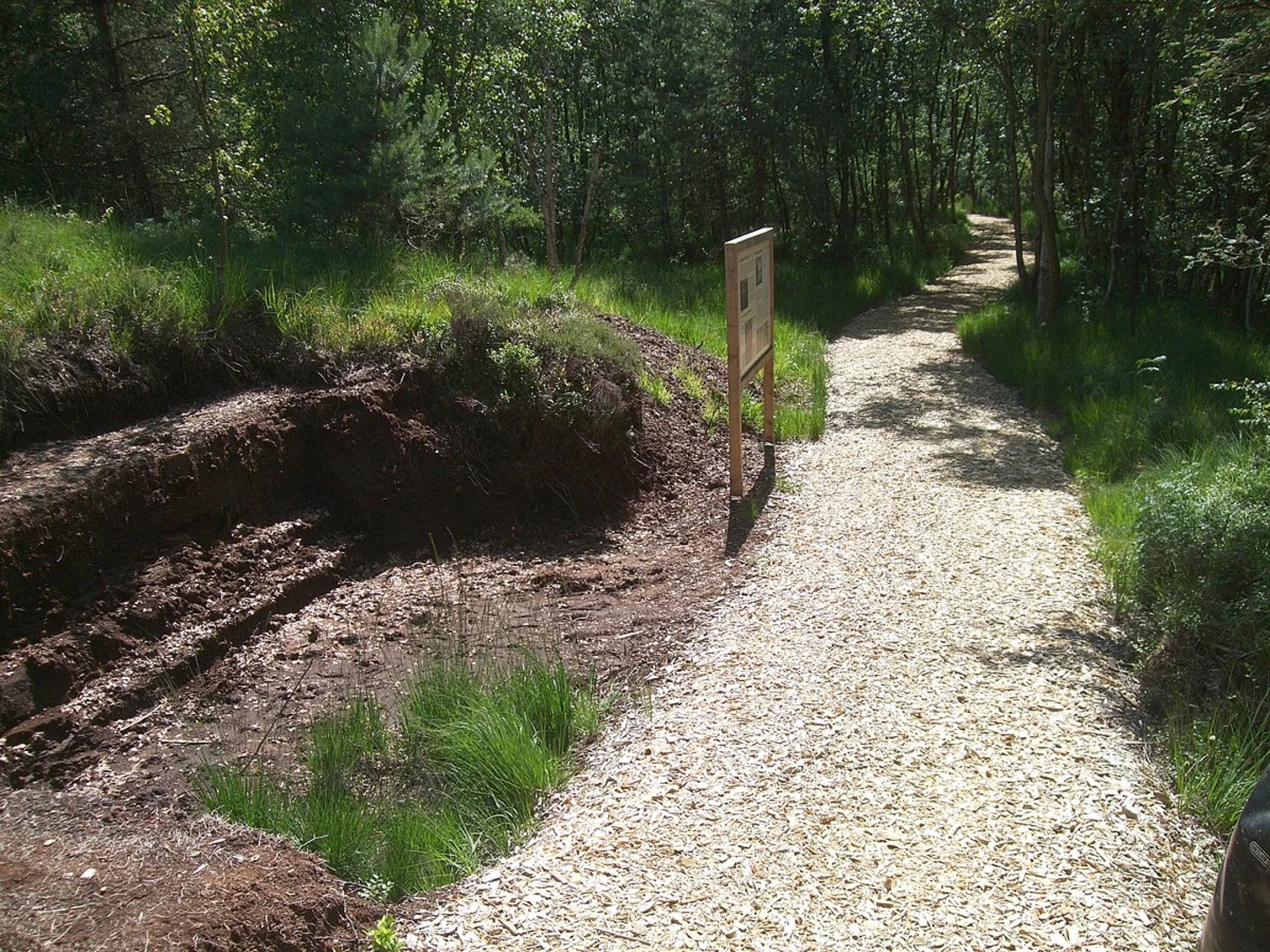 An image depicting the trail Verbindungsweg Teufelsmoor - Verlüßmoor and its surrounding area.