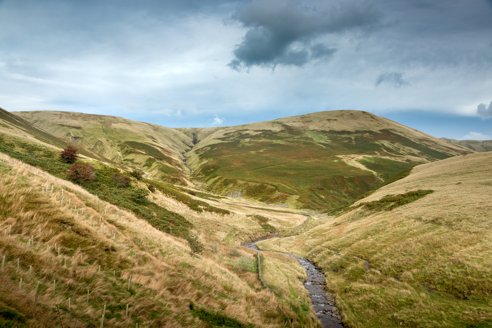 An image depicting the trail The Howgill Fells Circuit and its surrounding area.