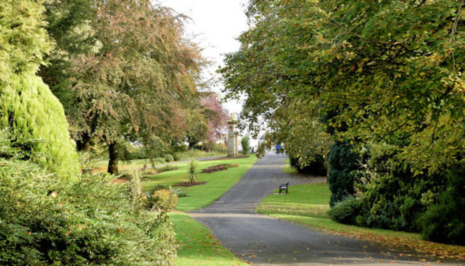 An image depicting the trail Musgrave Park and its surrounding area.