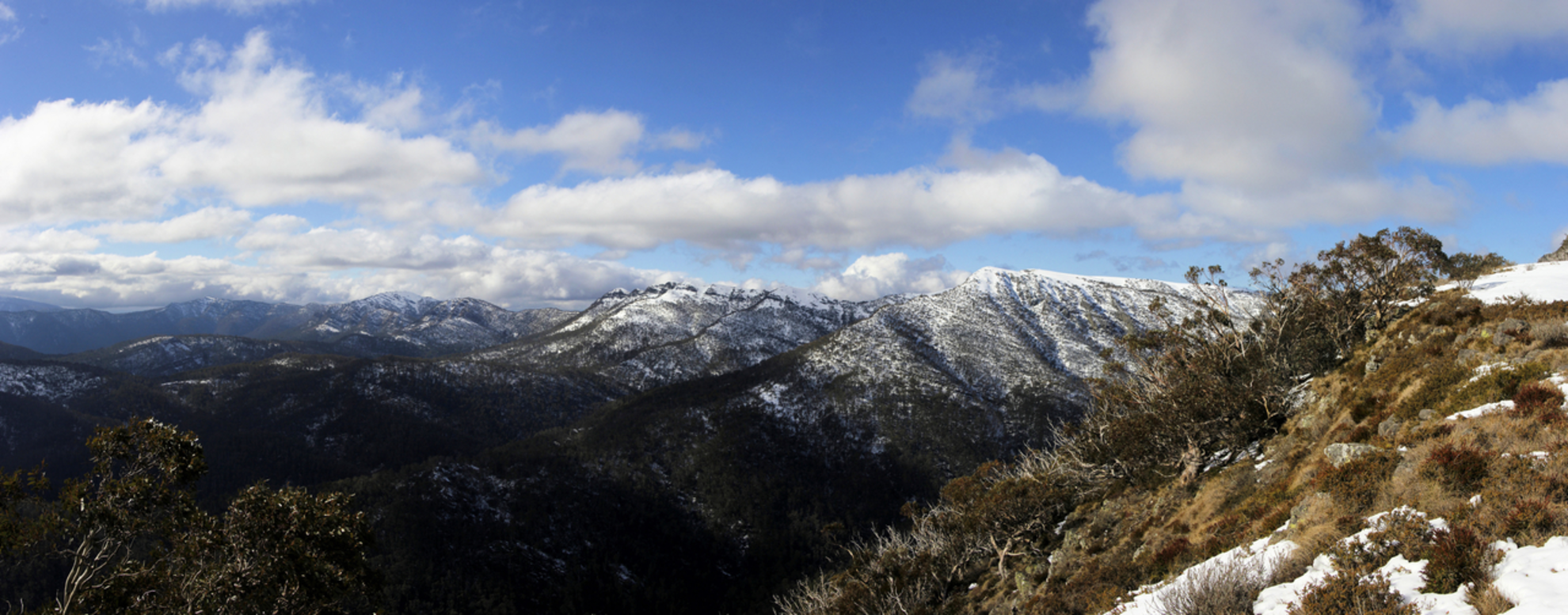 An image depicting the trail Crosscut Saw and Mt Speculation Trail and its surrounding area.