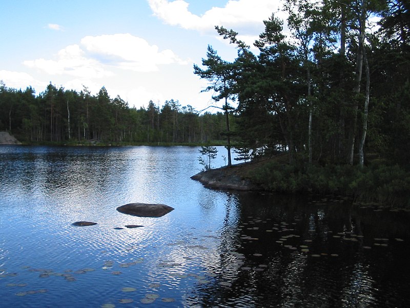 An image depicting the trail Tyresta National Park and its surrounding area.