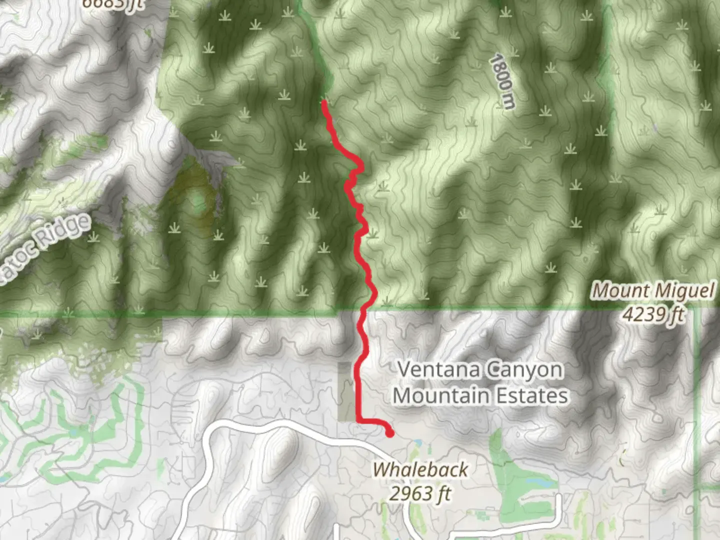 An image depicting the trail Maiden Ponds via Ventana Trail and its surrounding area.