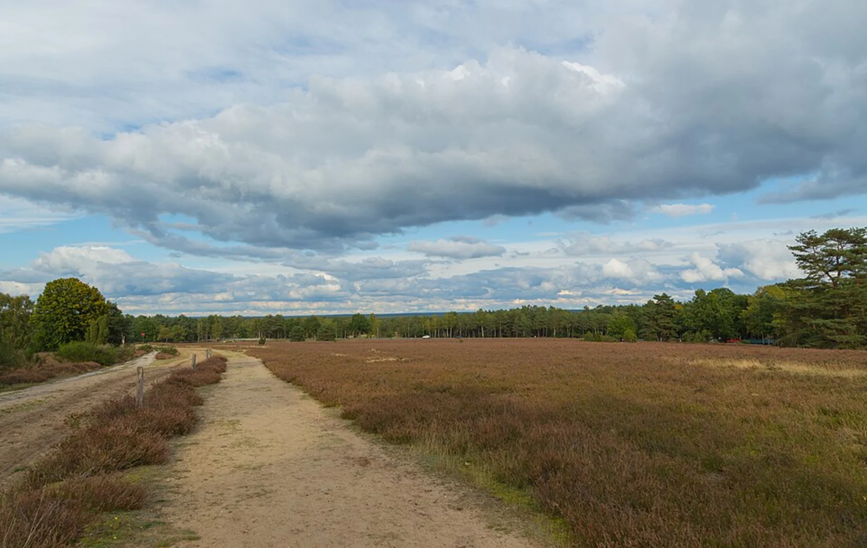 An image depicting the trail Schneverdingen Knot and its surrounding area.