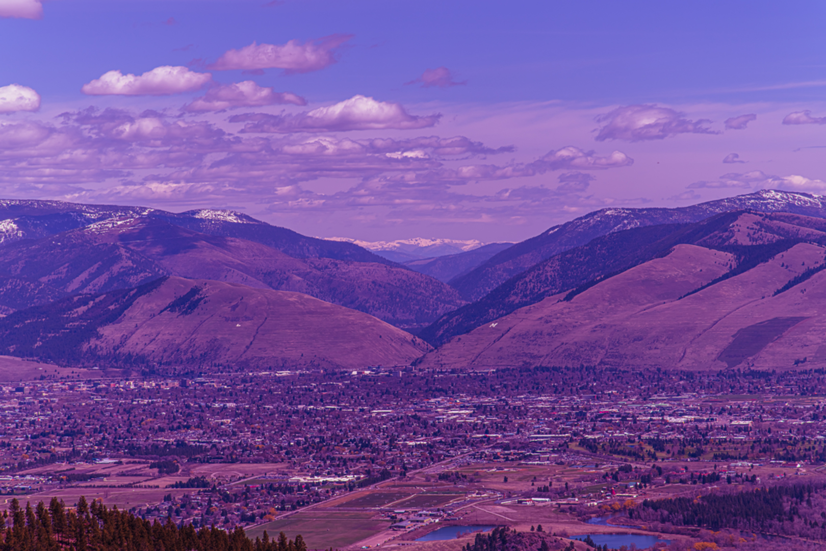 An image depicting the trail Woods Gulch and Three Larches Loop Trail and its surrounding area.