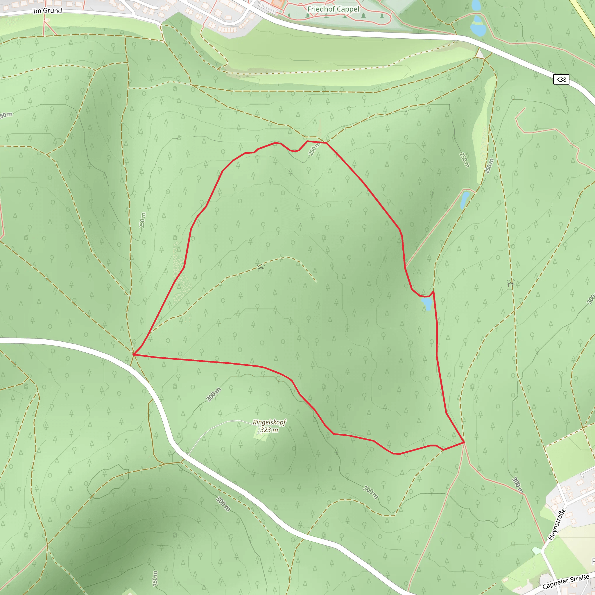 Ringelskopf Loop mobile static map