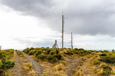 Wooded Gully Track Loop