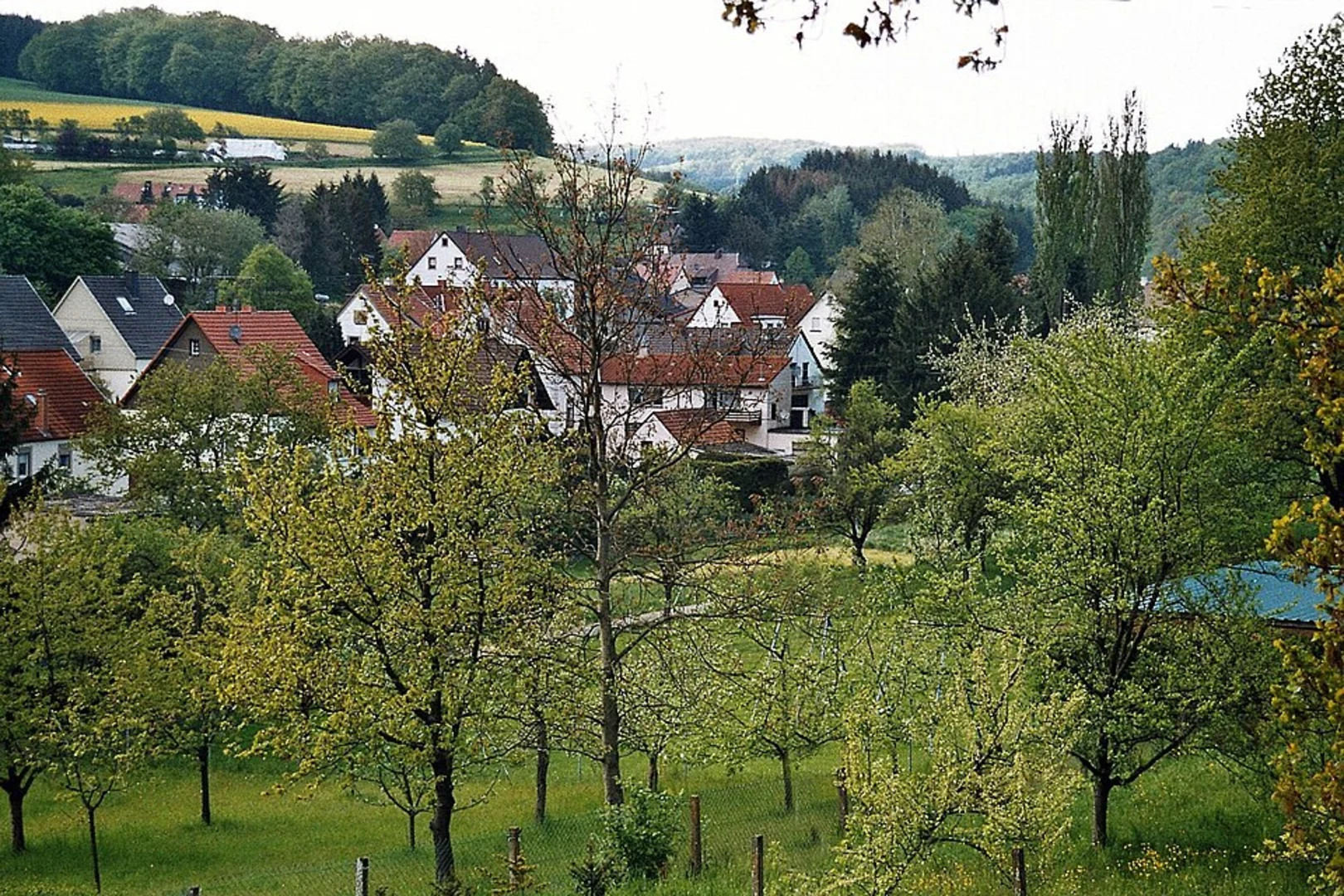 An image depicting the trail Wolfsborner Hof Loop - Herchweiler and its surrounding area.