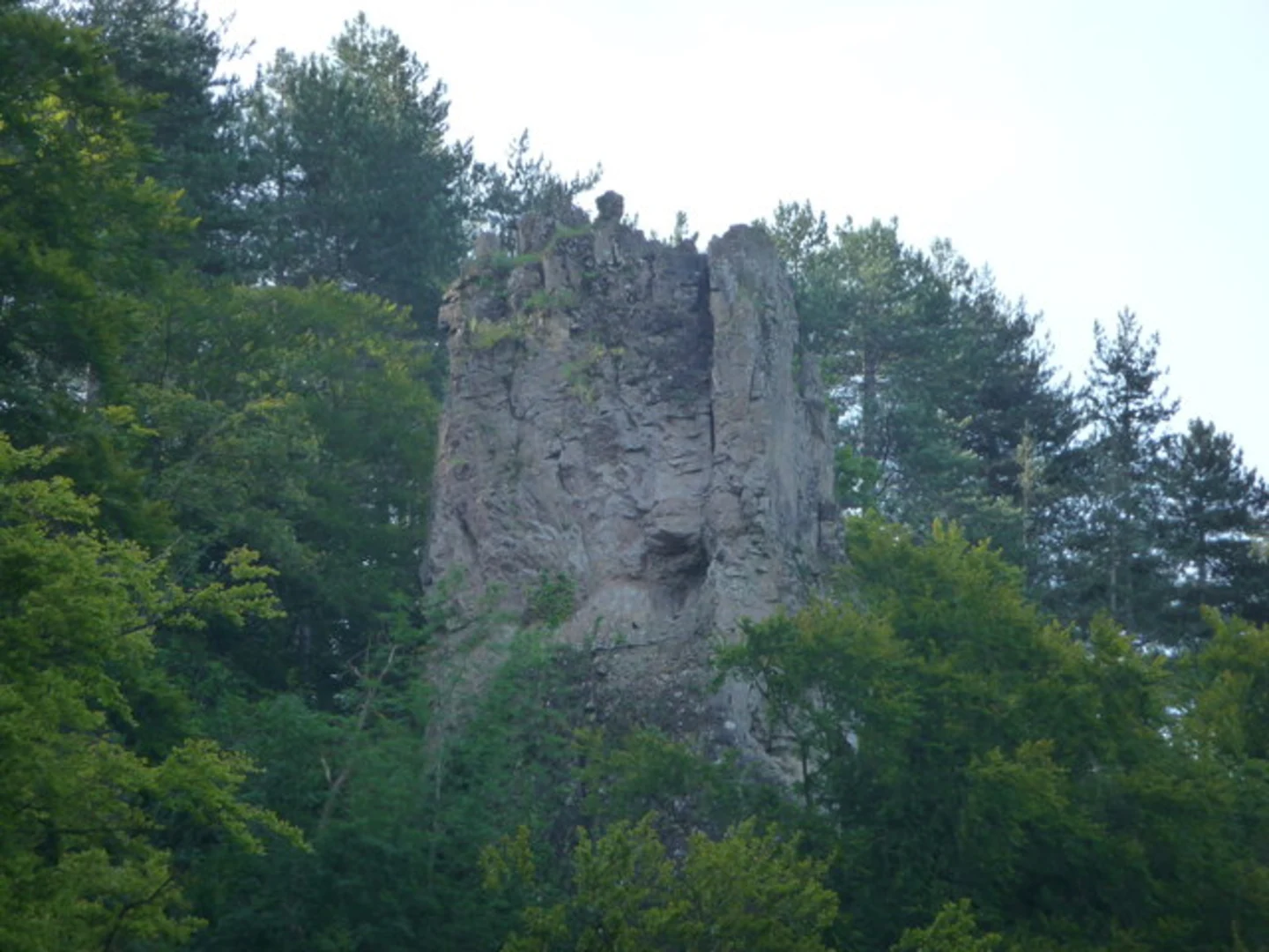 An image depicting the trail Maliscot Woods Loop and its surrounding area.