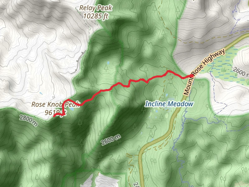 Rose Knob Peak and Mud Lake via Gray Lake Trail