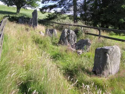 An image depicting the trail Mullaghaneany Mountain Loop and its surrounding area.