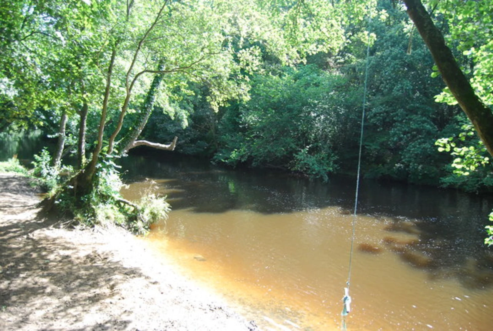 An image depicting the trail River Nidd Loop and its surrounding area.