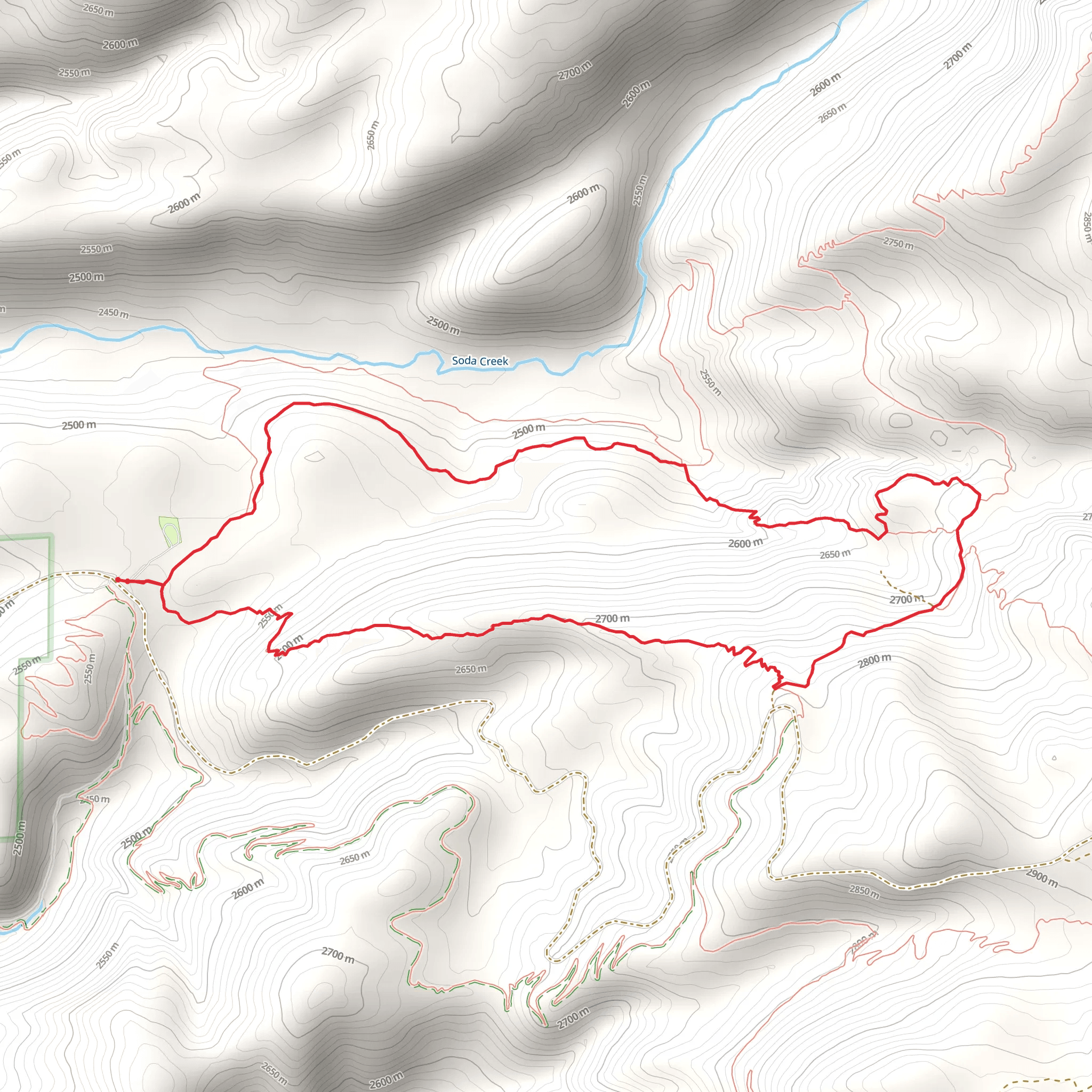 Ditch Trail and Bear Tree Ridge Loop Trail mobile static map