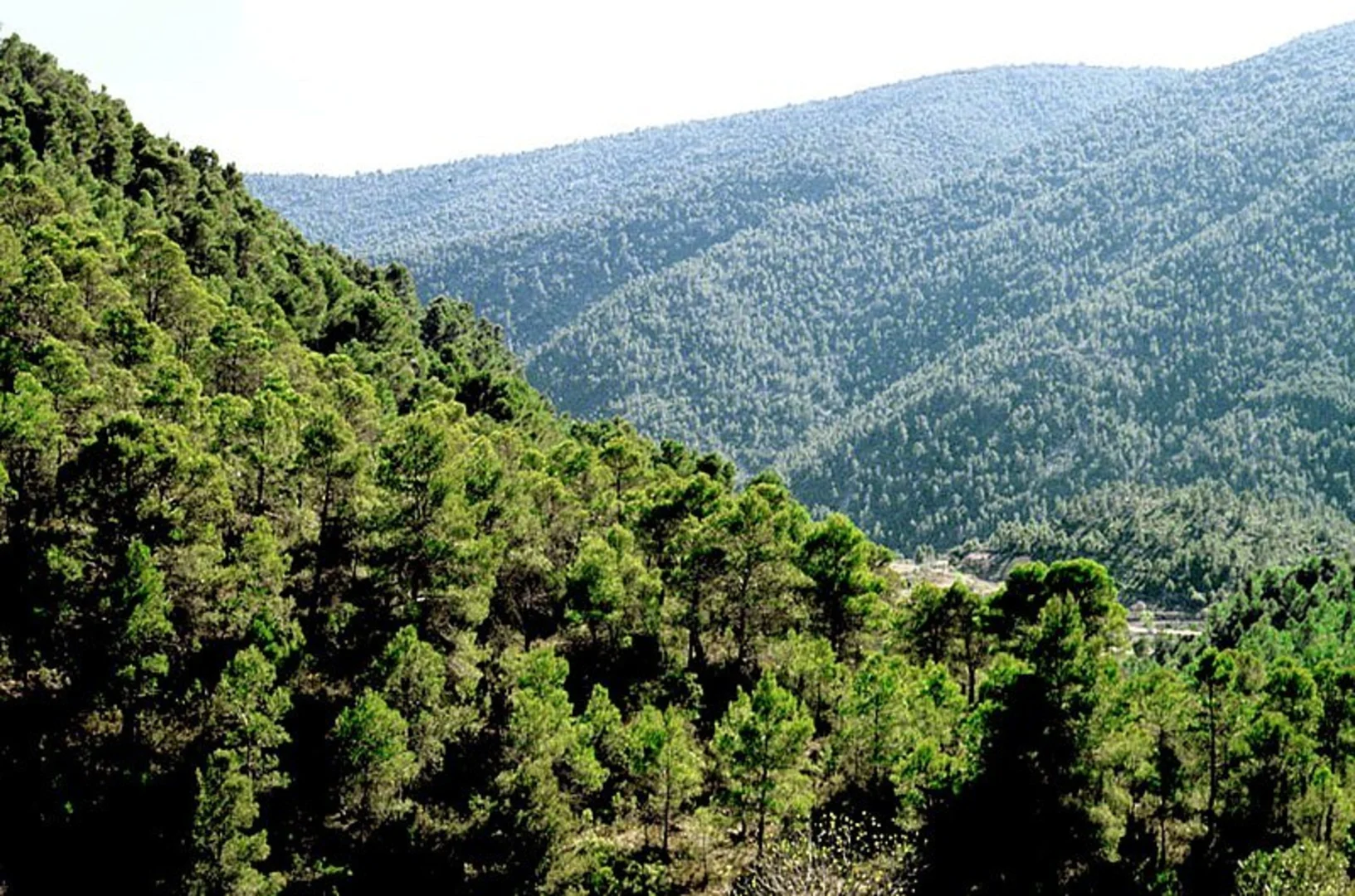 An image depicting the trail Gudar PR TE 033a and its surrounding area.