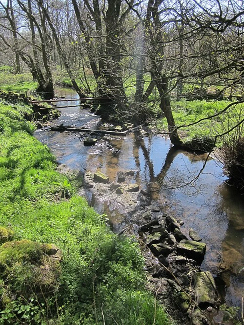 An image depicting the trail Thornton Beck Loop and its surrounding area.
