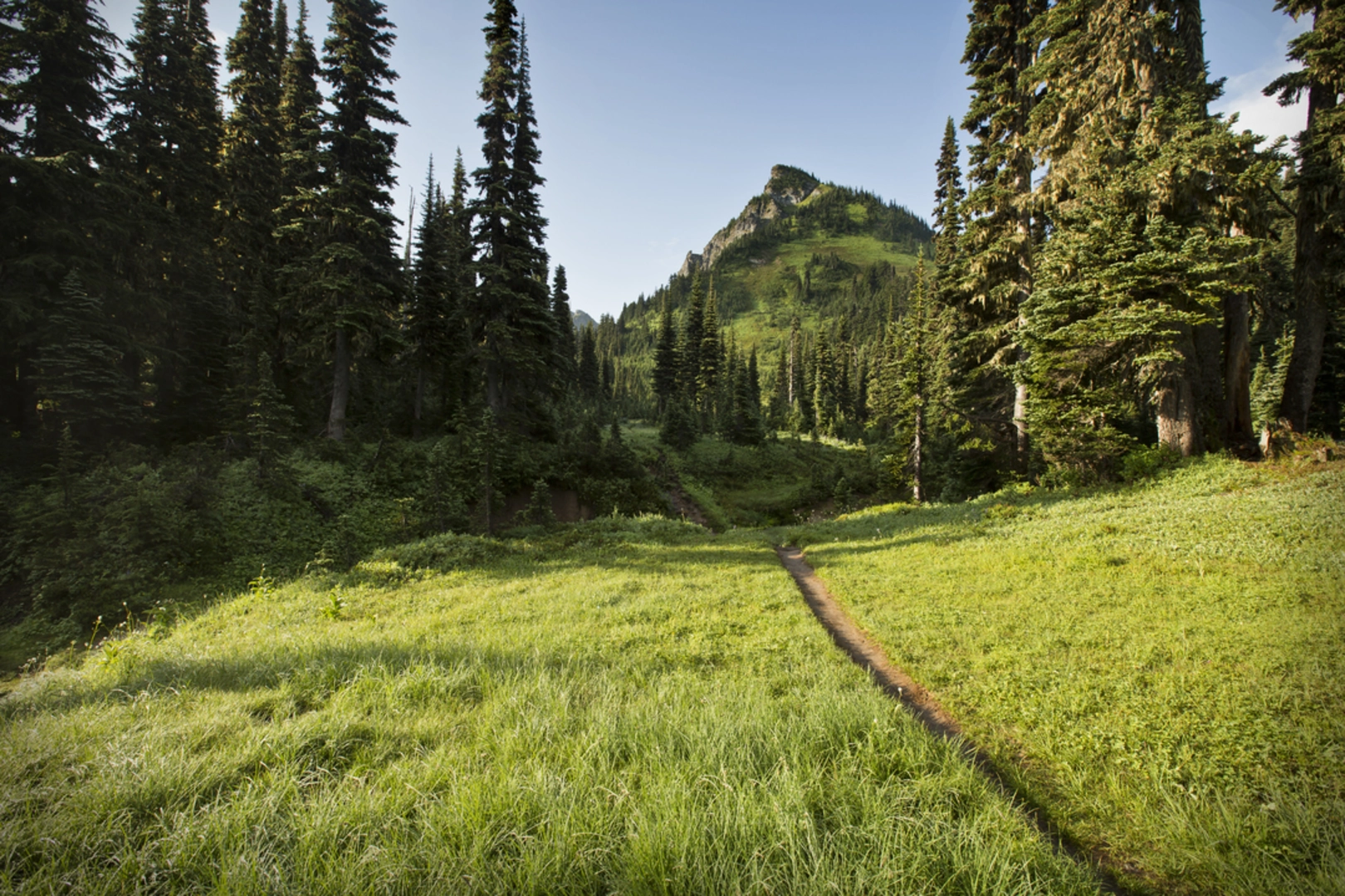 An image depicting the trail Buck Creek Trail and its surrounding area.