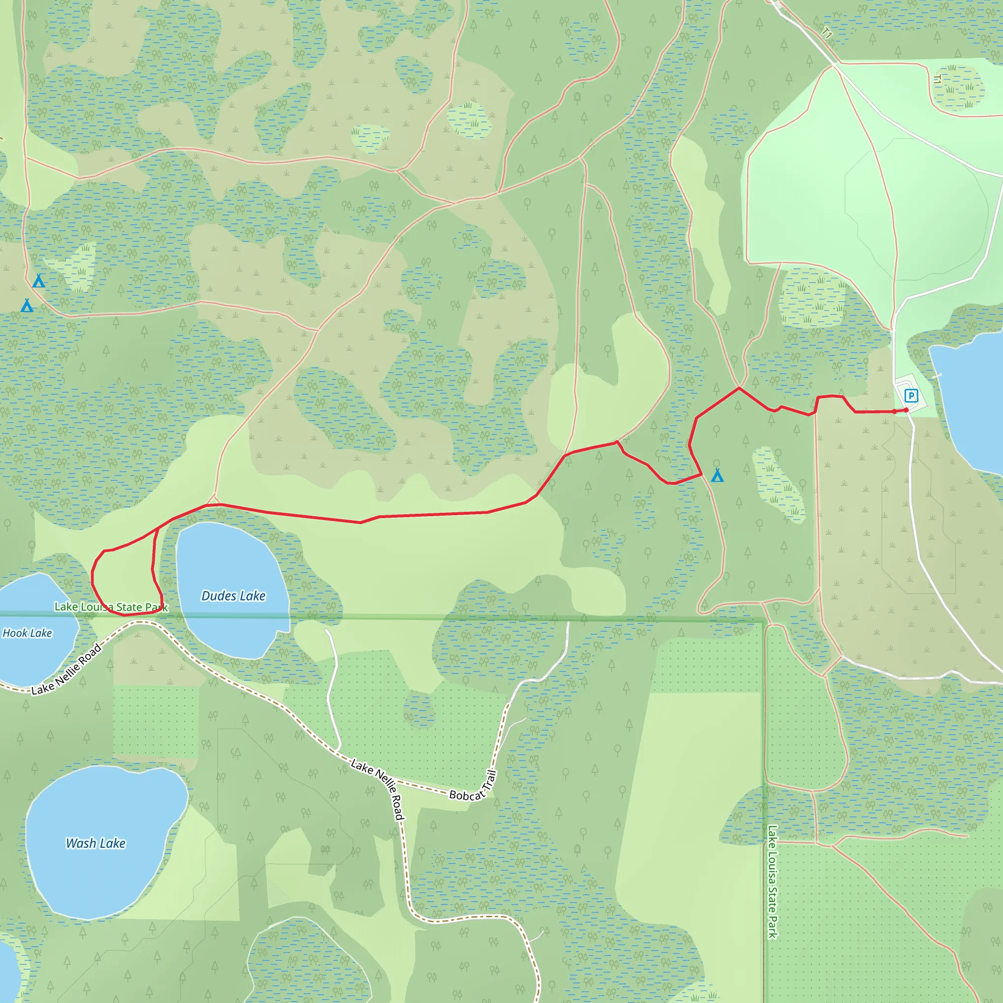 Dudes and Hook Lake Walk mobile static map
