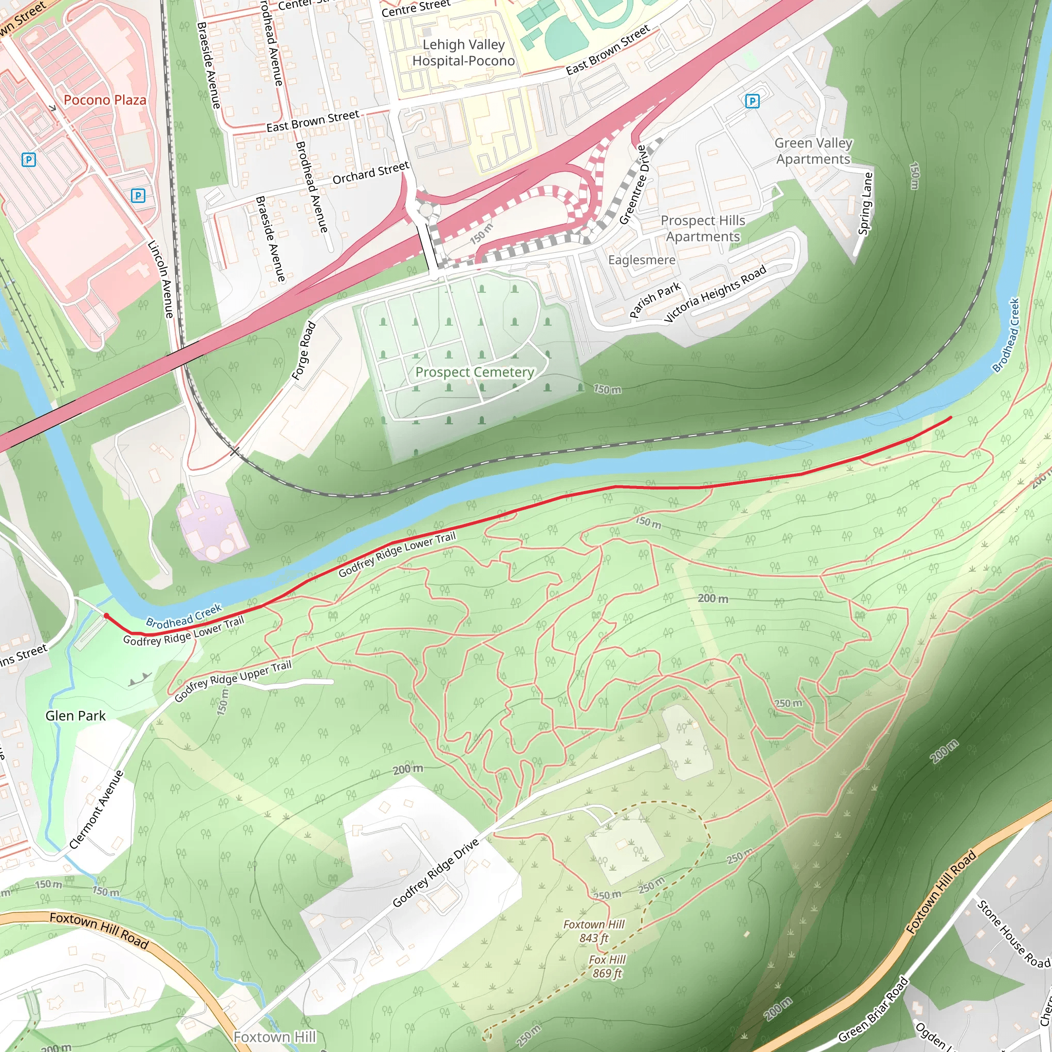 Godfrey Ridge Lower Trail mobile static map