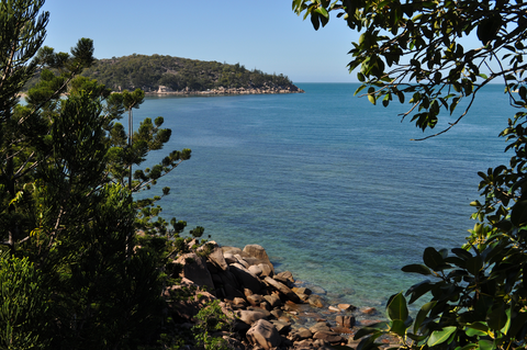 An image depicting the trail Forts Junction - Nelly Bay - Arcadia Track and its surrounding area.