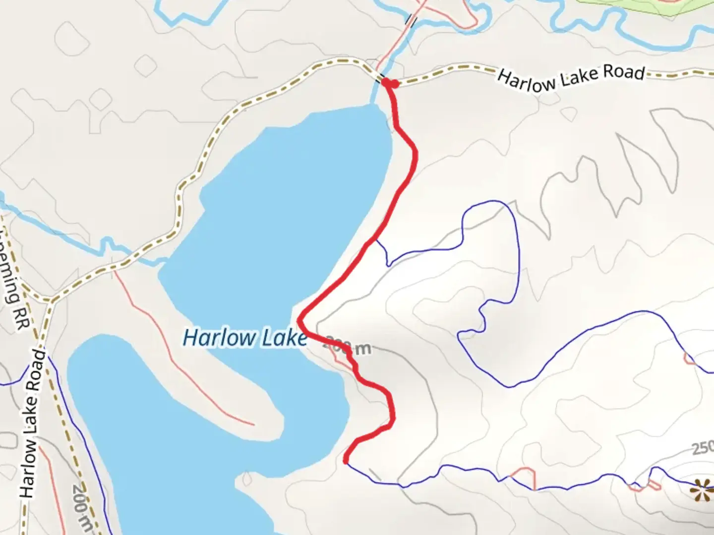 An image depicting the trail Harlow Lake and its surrounding area.