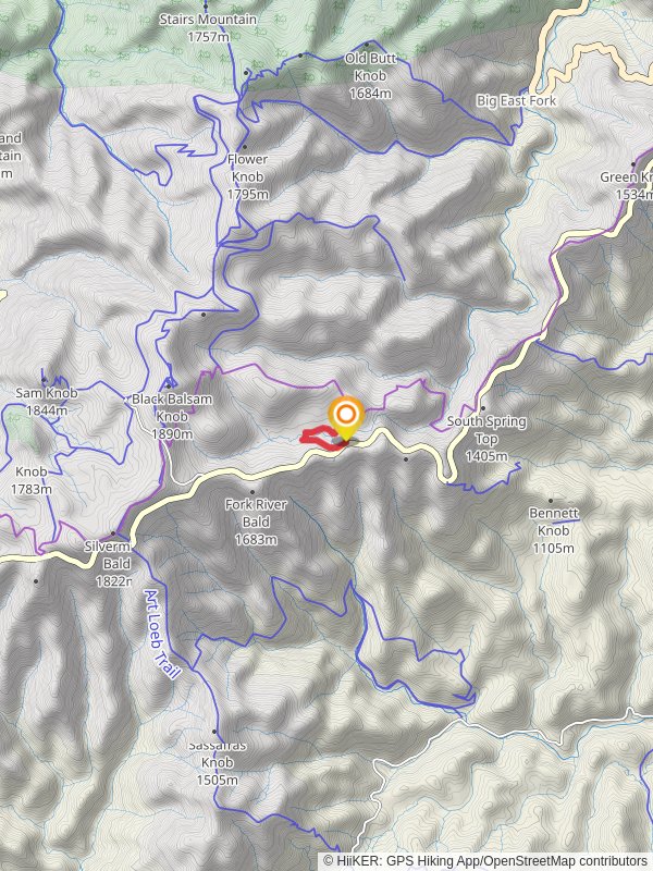 Graveyard Fields Loop Trail