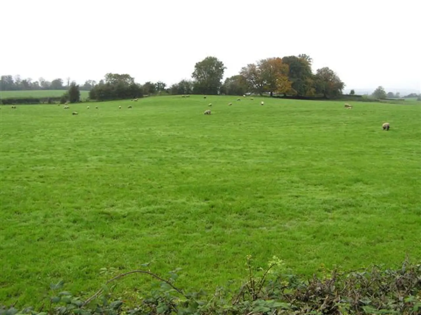 An image depicting the trail Dean's Lake Trail and its surrounding area.