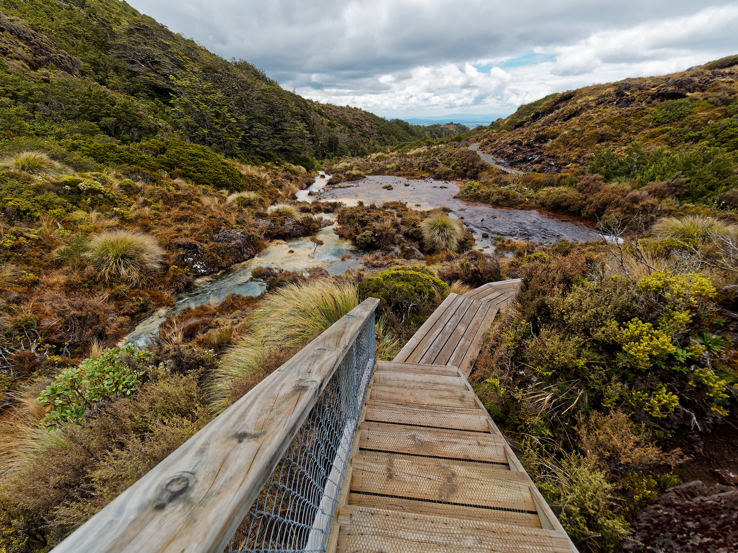 An image depicting the trail Whakapapaiti Valley Track and its surrounding area.