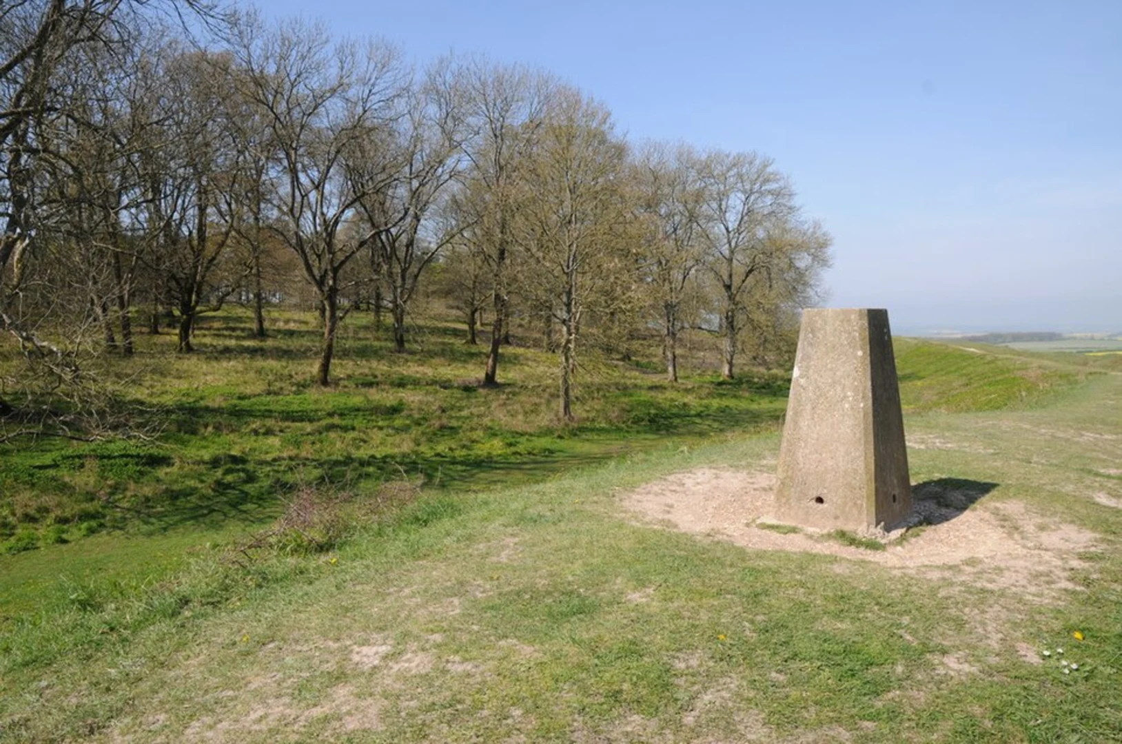 An image depicting the trail Tarrant Rushton Park and Shapwick Park Loop and its surrounding area.