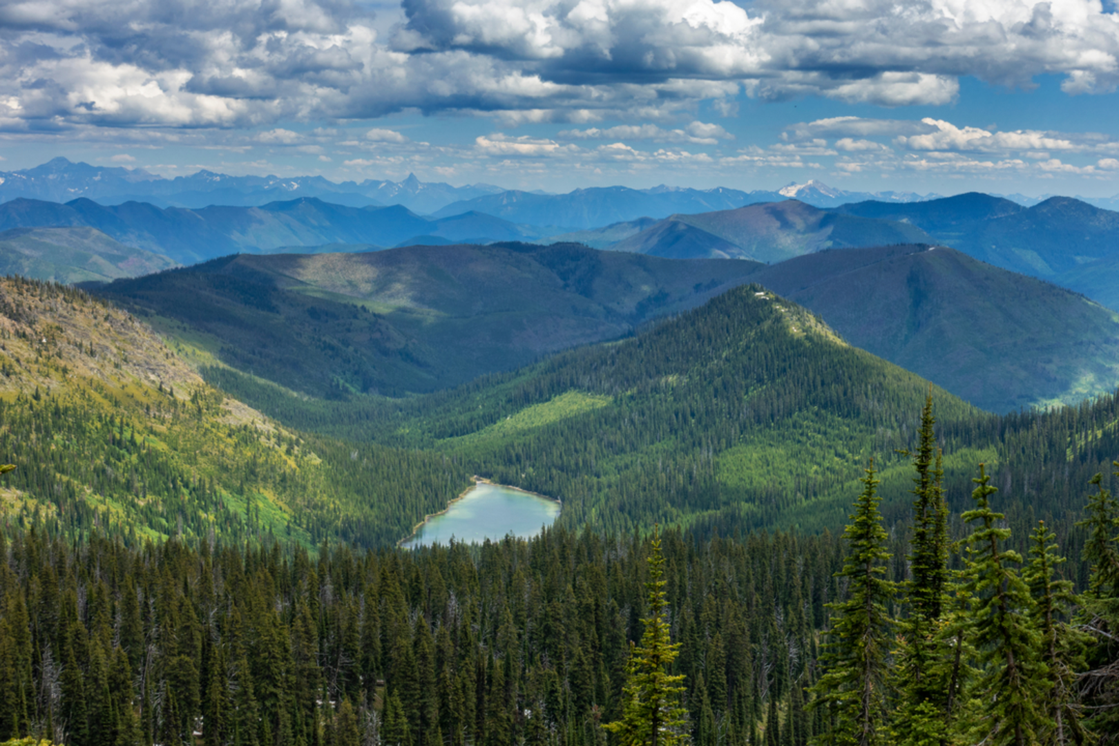 An image depicting the trail Moose Peak Trail and its surrounding area.