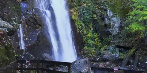 An image depicting the trail Jacob Fork Rim Trail and its surrounding area.