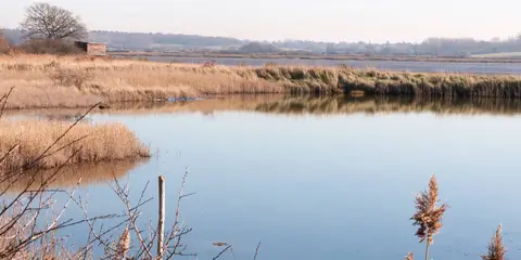 An image depicting the trail Layer de la Haye Loop via Essex Way and its surrounding area.