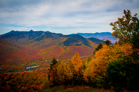 An image depicting the trail Church Pond Trail and its surrounding area.