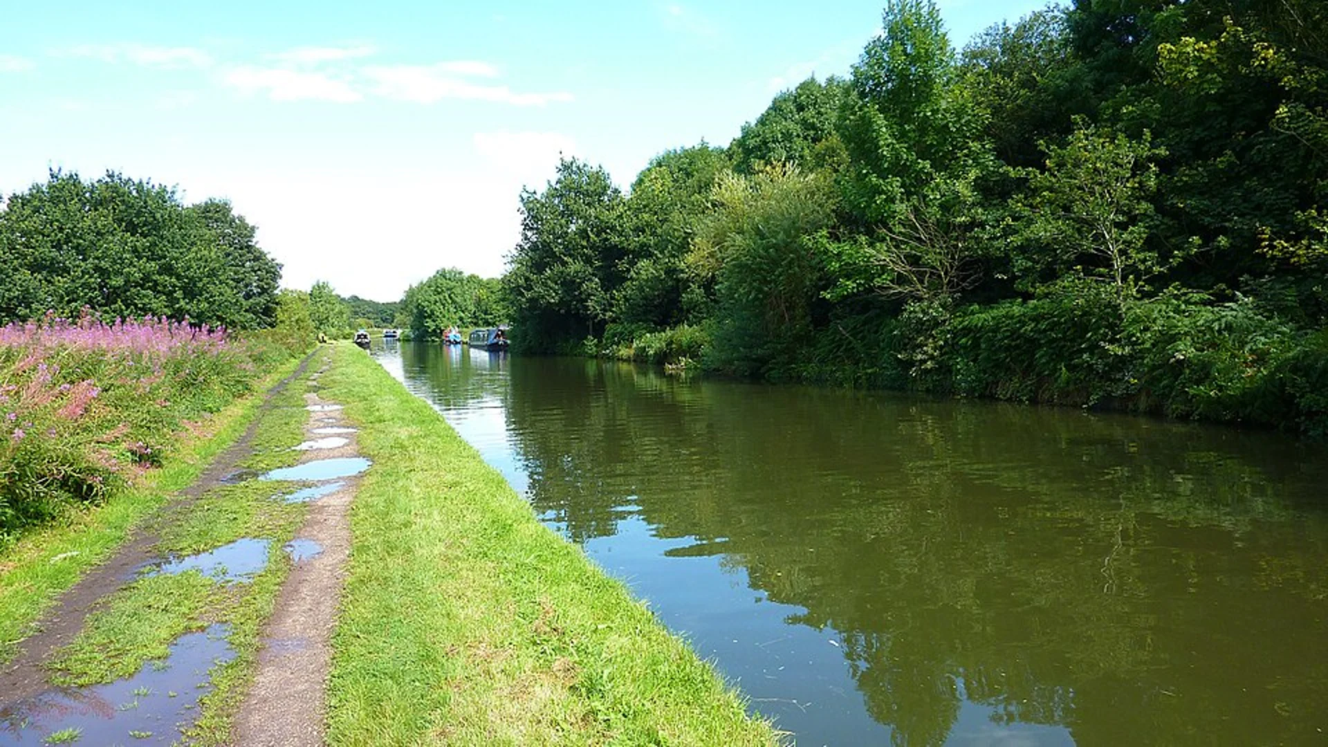 An image depicting the trail Bridgewater Canal and Trans Pennine Trail and its surrounding area.