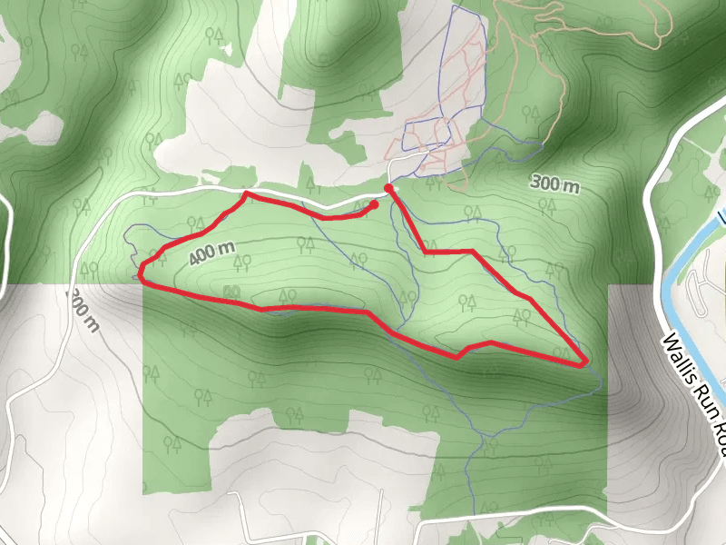 Allegheny Loop - Caleb Creek Road