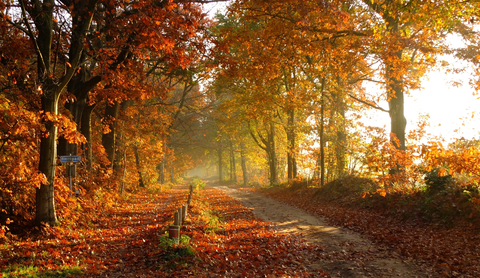 Crossbaan and Galgenberg Loop