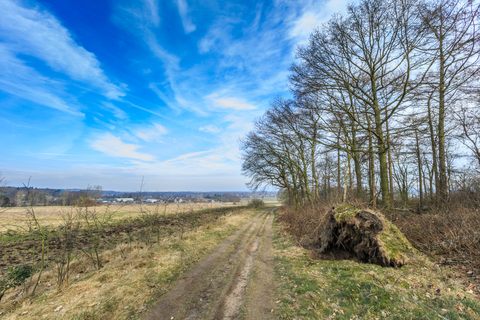 Bisschop Davidsgrift, Valleikanaal and Laarsenberg Loop