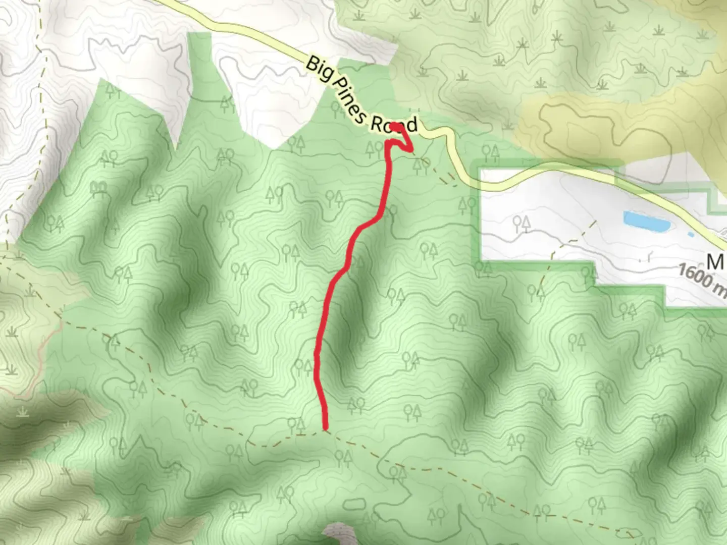 An image depicting the trail Pinyon Ridge from Big Pines Road and its surrounding area.