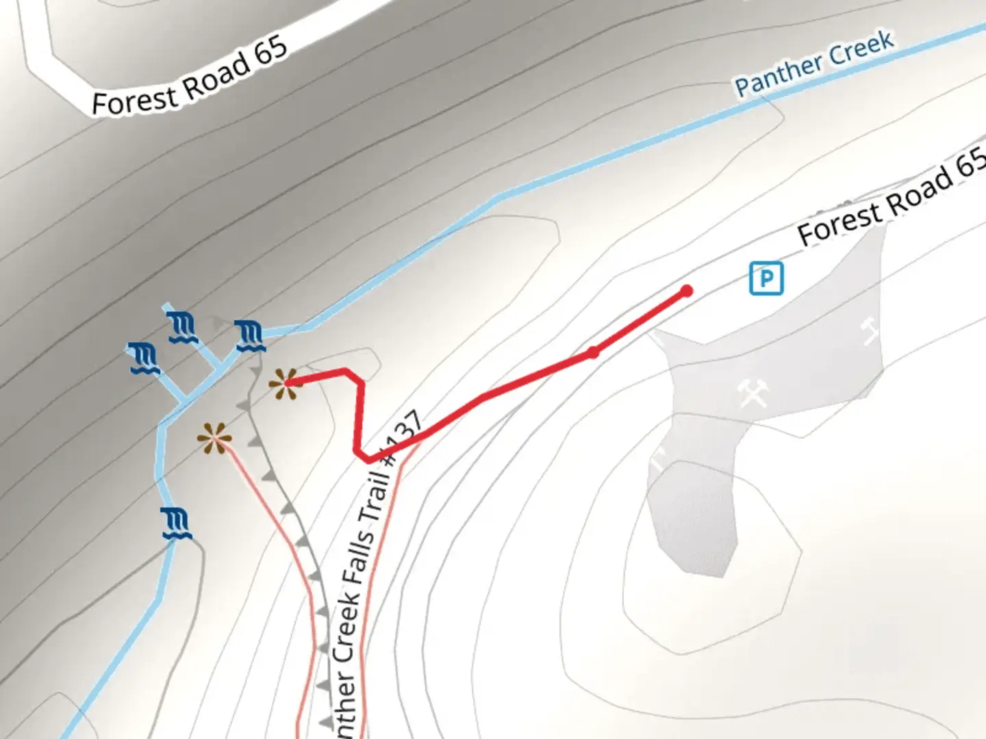 An image depicting the trail Panther Creek Falls and its surrounding area.